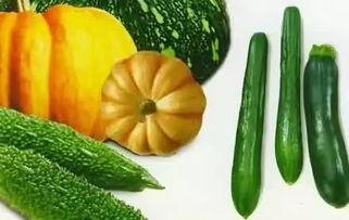 八棱角瓜怎么吃,探索美味与营养的完美融合