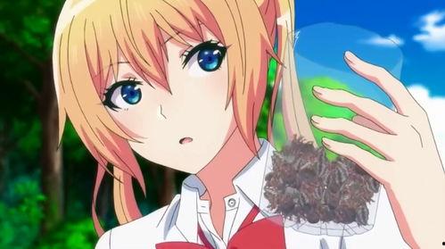 吃瓜少女魏淑芬吃煤,意外吃煤引发的奇幻之旅