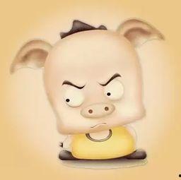 孤独的吃瓜小号