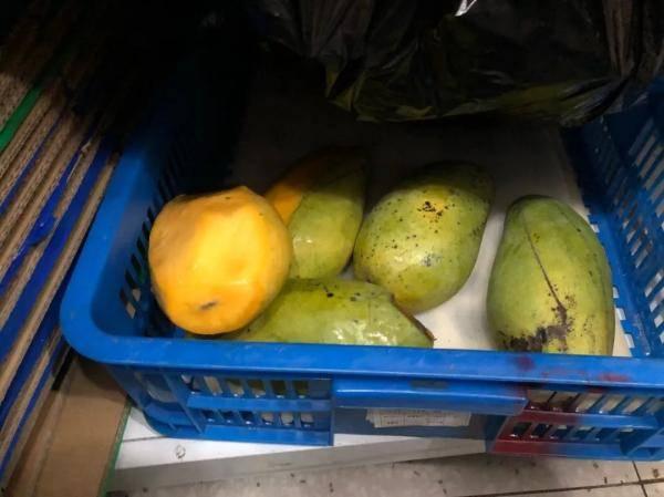 小黄coco吃瓜,揭秘娱乐圈幕后故事