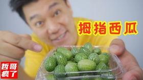 哲哥吃瓜,揭秘娱乐圈背后的那些事儿