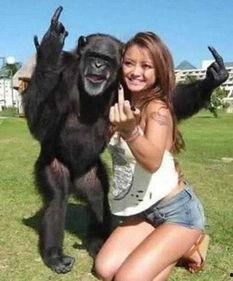 美女主播吃瓜像猩猩,可爱又搞笑!