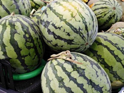 吃瓜只吃瓜皮,只吃瓜皮的独特风味之旅