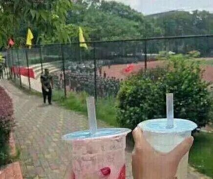 吃瓜中心入口,探寻美食天堂的神秘之门