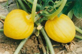 栗姐吃瓜,揭秘娱乐圈幕后故事