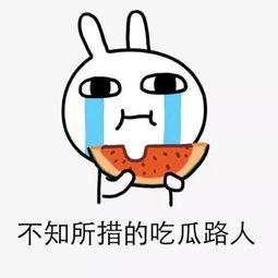 吃瓜群众累不累,观战不累，娱乐至上