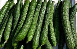 减肥蓝瓜怎么吃,科学食用方法揭秘