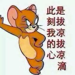 吃瓜群众照片模板,一张照片背后的热议焦点