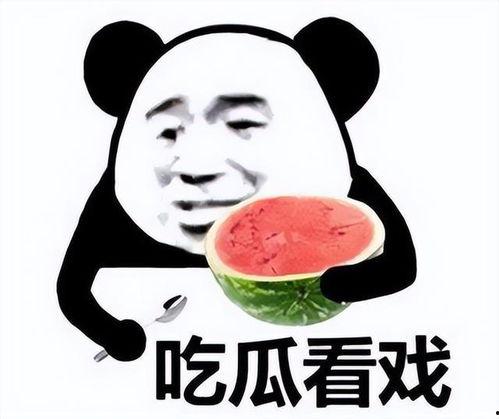 吃瓜表情潜台词,吃瓜表情背后的真相揭秘