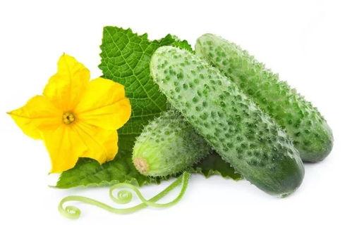 吃瓜系统苏安安,网络红人的崛起之路